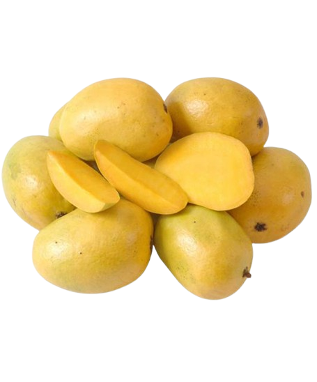 Anwer Ratol